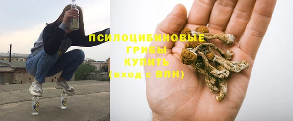 соль курить ск Богородск