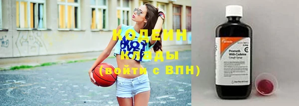 мдпв Верея