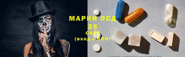 стафф Верхний Тагил