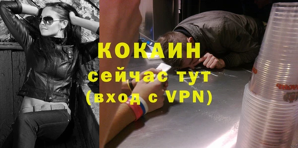 мдпв Верея