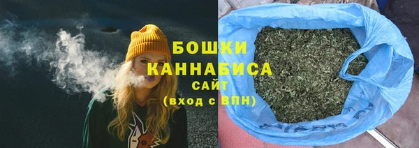 тгк Богданович