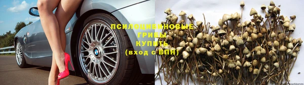 круглые Богородицк